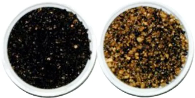 浄水施設ろ材更生の作業風景